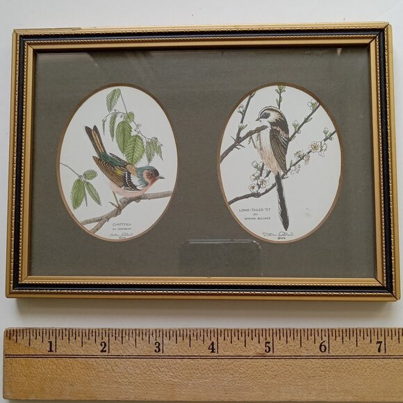 VTG John Morland Birds Hand Colored Glastonbury Print Framed Made in England - Picture 1 of 9